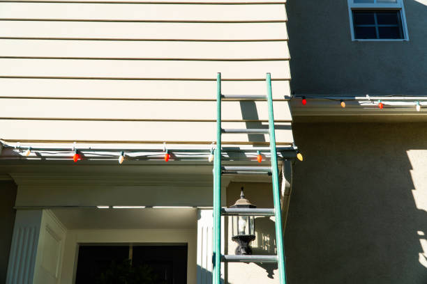 Best Fascia and Soffit Installation  in Muniz, TX