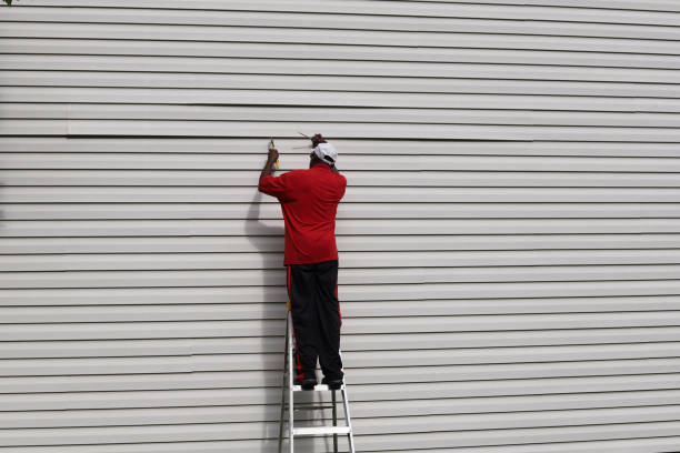 Best Aluminum Siding Installation  in Muniz, TX