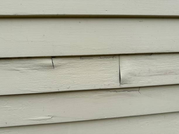 Best Siding Painting and Refinishing  in Muniz, TX